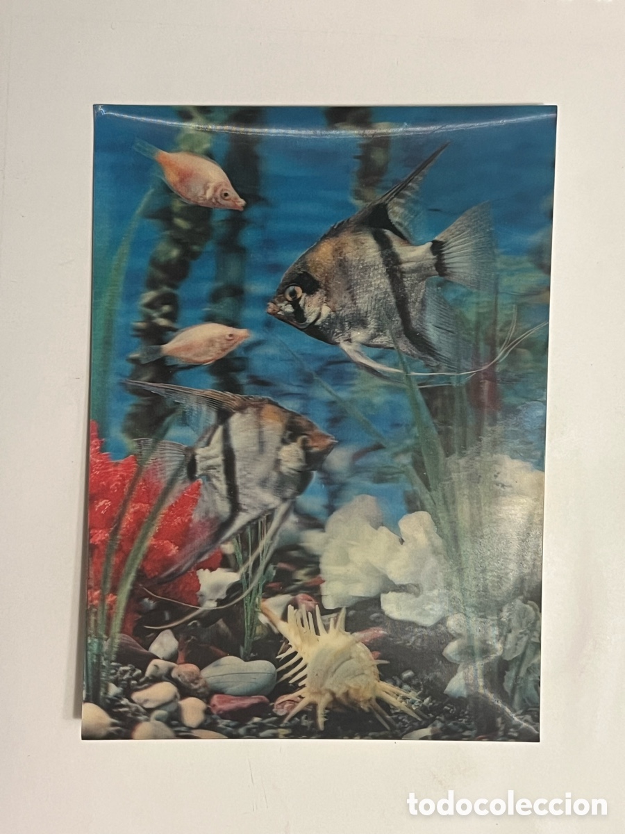 Postales: POSTAL LENTICULAR 3 D.. Acuario.. Collectionne cartes Visiorelief. Japon (a.1967)