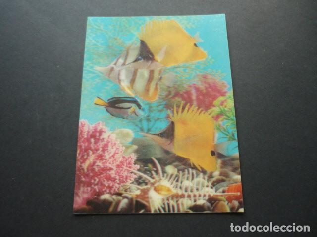 Postales: PECES POSTAL 3D TRES DIMENSIONES