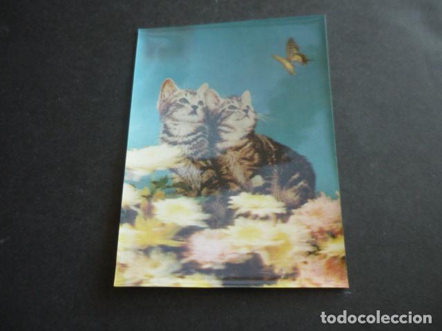 Postales: GATOS POSTAL TRES DIMENSIONES 3D - Foto 1