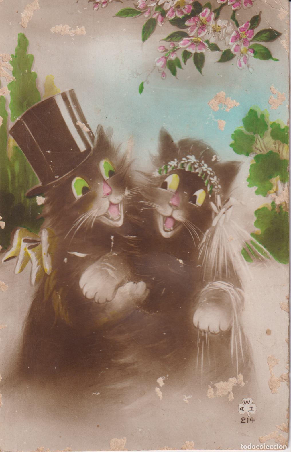 Postales: POSTAL DE ANIMALES ANTROPOM&Oacute;RFICOS &ndash; GATOS &ndash; AUTOR: ARTHUR THIELE - WAI 214 &ndash; S/C