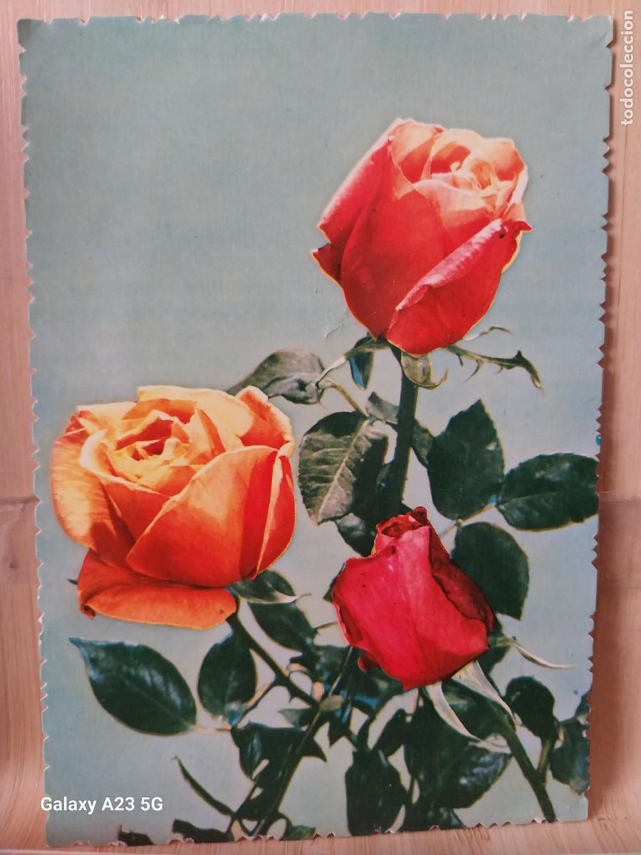 Postales: ROSAS ED PAJARITA 13310 ESCRITA ORIGINAL