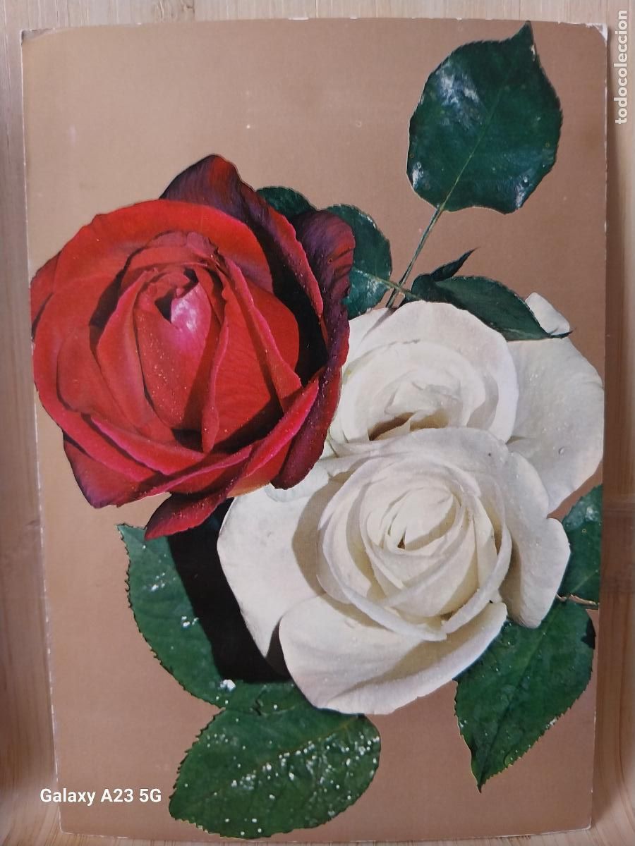 Postales: ROSAS ED VIKINGO 10285/ 5 ESCRITA ORIGINAL
