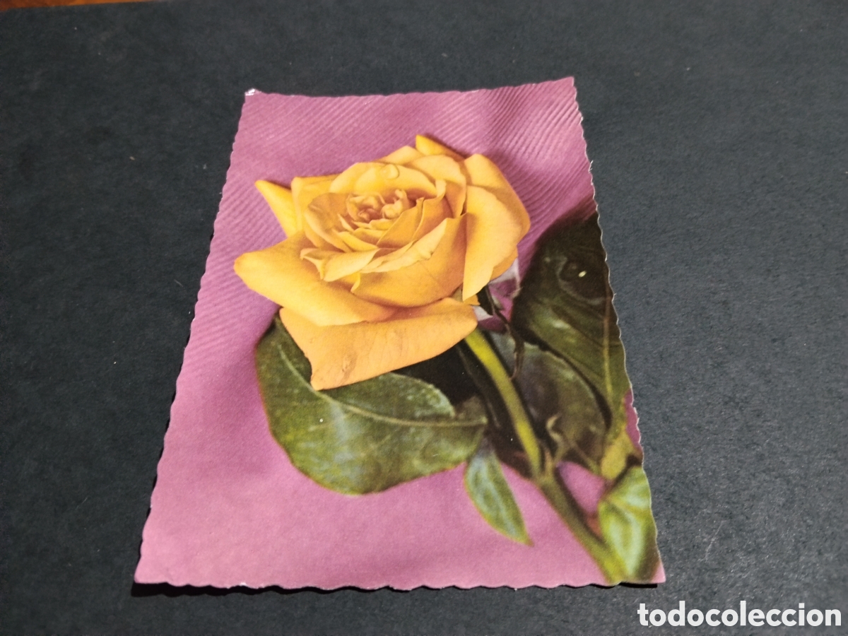 Postales: Postal flores rosa amarilla