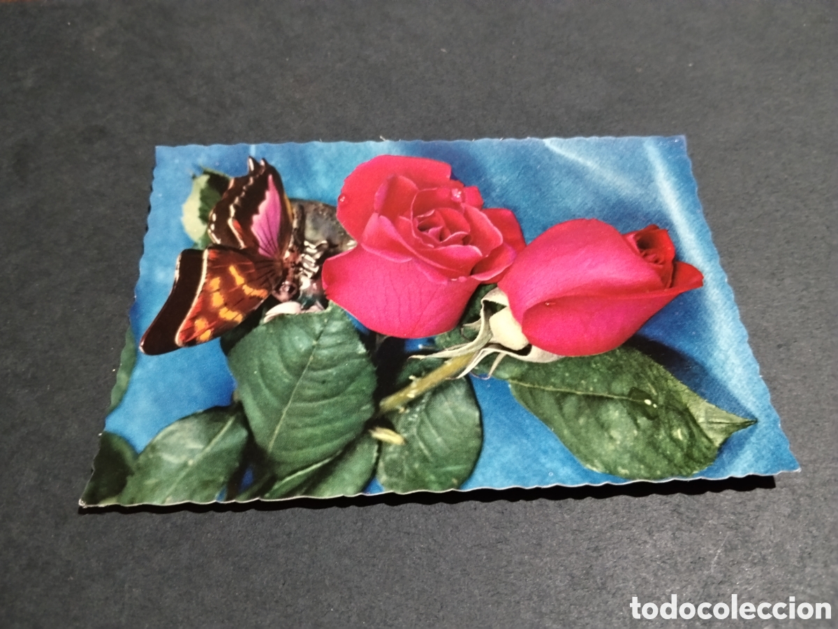 Postales: Postal flores Rosas mariposas