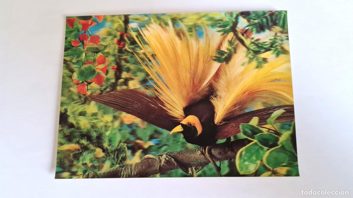 Postales: POSTAL 3D - AVE DEL PARAISO - Foto 1