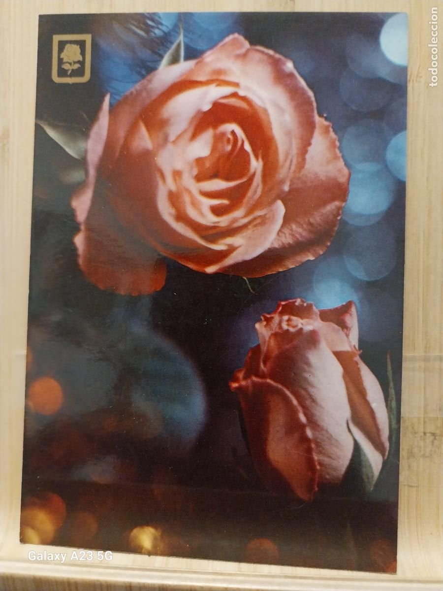 Cartoline: FLORES ROSAS ED FISA 3060 3 SC ORIGINAL SC ORIGINAL