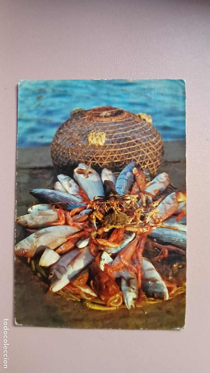 Postales: POSTAL PANERA T&Iacute;PICA PESCADO CAMPA&Ntilde;&Aacute; PUIG-FERRAN SERIE II - N&ordm; 2048 ESCRITA