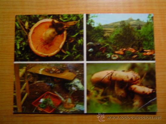 Postales: POSTAL CATALU&Ntilde;A TIPICA ROVELLONS SIN CIRCULAR - Foto 1
