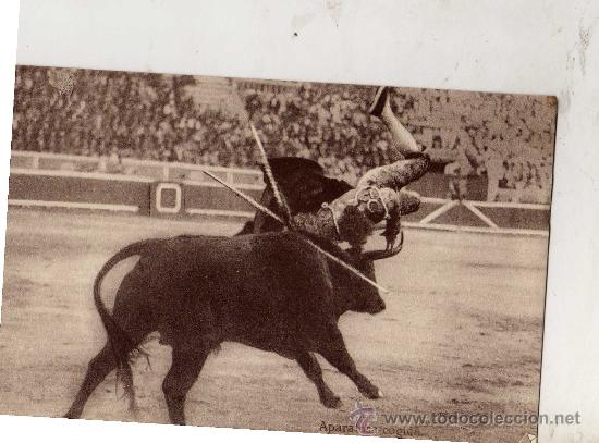 Postales: APARATOSA COGIDA SIN CIRCULAR - Foto 1