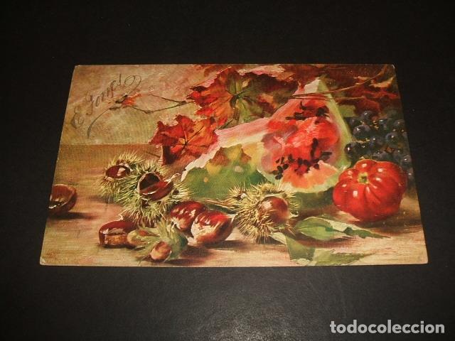 Postales: FRUTAS POSTAL ILUSTRADA - Foto 1
