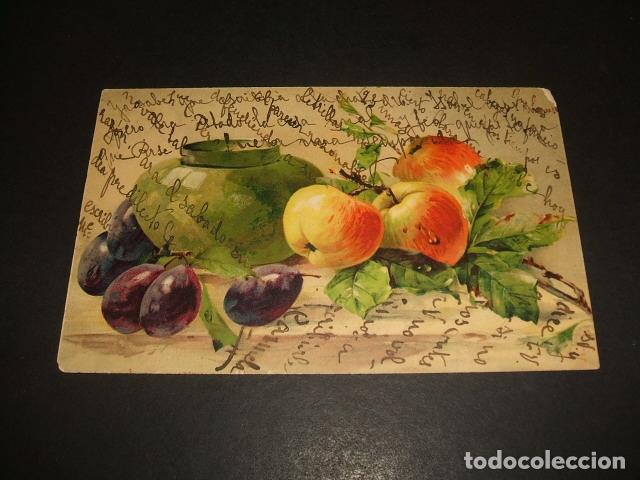 Postales: FRUTAS POSTAL ILUSTRADA - Foto 1