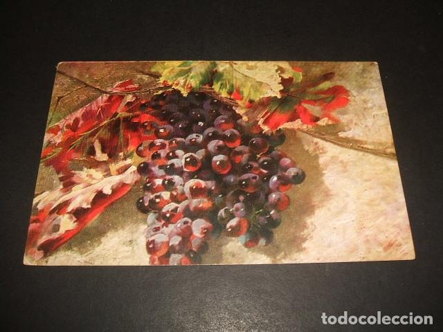Postales: UVAS POSTAL ILUSTRADA - Foto 1