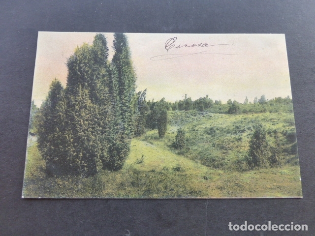 Postales: PAISAJE CAMPESTRE POSTAL - Foto 1
