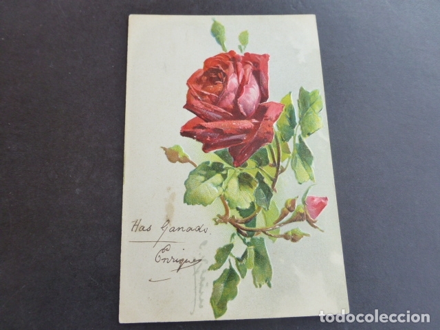 Postales: ROSAS EN RELIEVE POSTAL - Foto 1