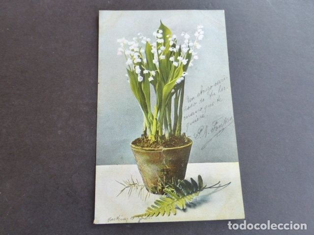 Postales: MACETA CON FLORES POSTAL - Foto 1