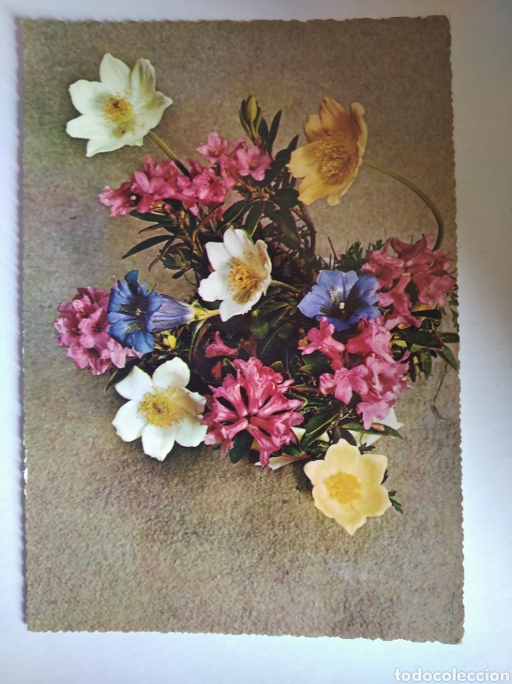 Postales: postal flores Italia cecami - Foto 1