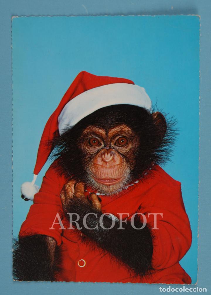 Postales: Antigua POSTAL - 900/82 - KRUGER - Foto 2