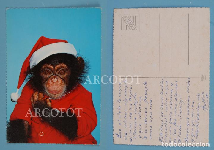 Postales: Antigua POSTAL - 900/82 - KRUGER - Foto 1
