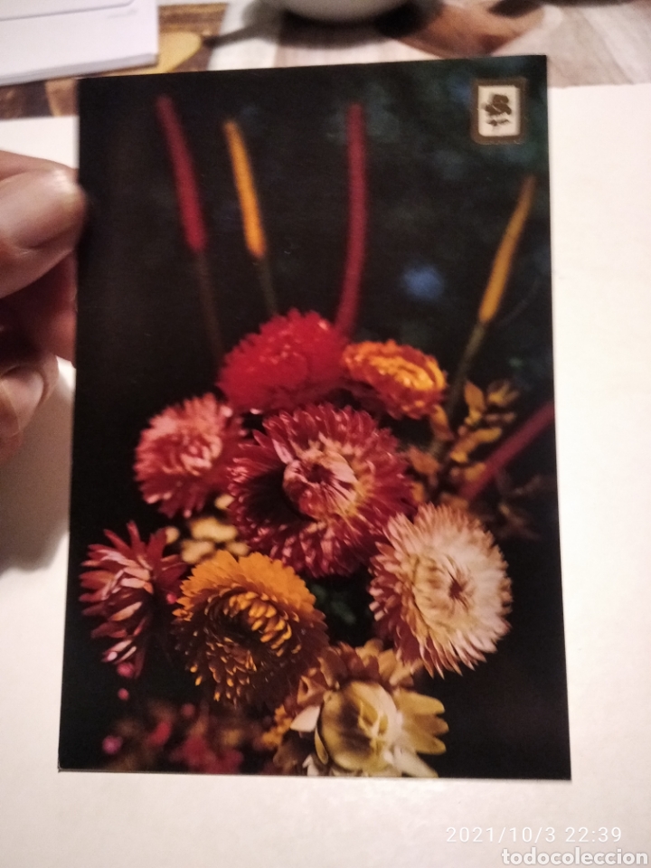 Postales: Postal flores - Foto 1