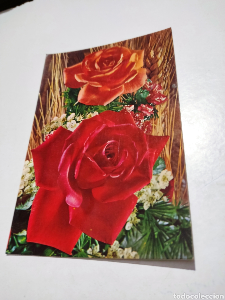 Postales: Postal rosas - Foto 1