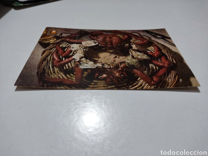 Postales: Postal centollos - Foto 1