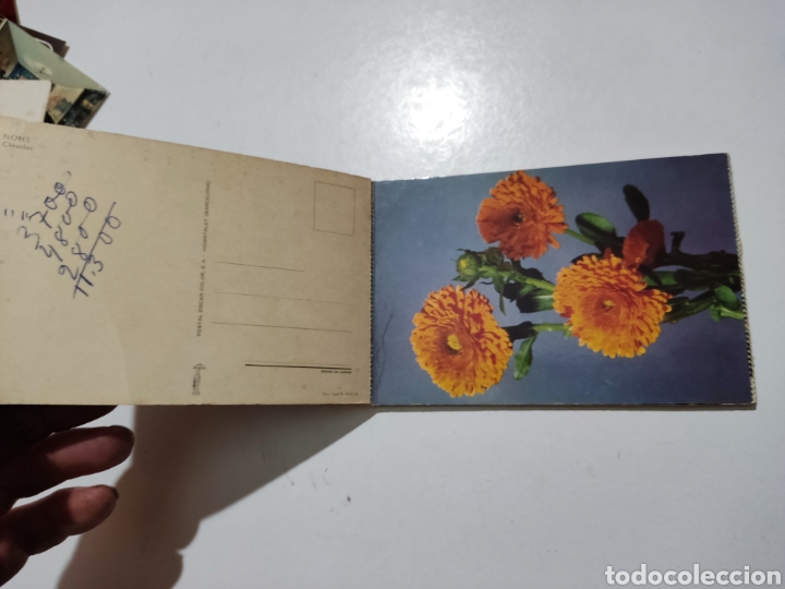 Postales: Postales flores - Foto 2