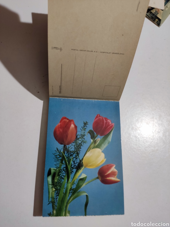 Postales: Postales flores - Foto 5