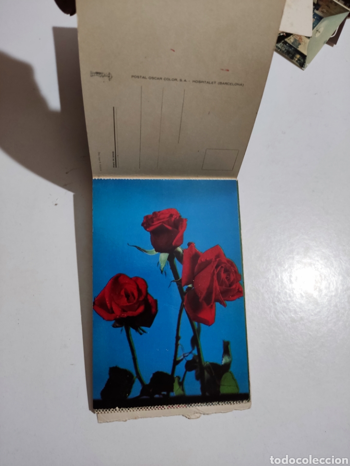 Postales: Postales flores - Foto 6