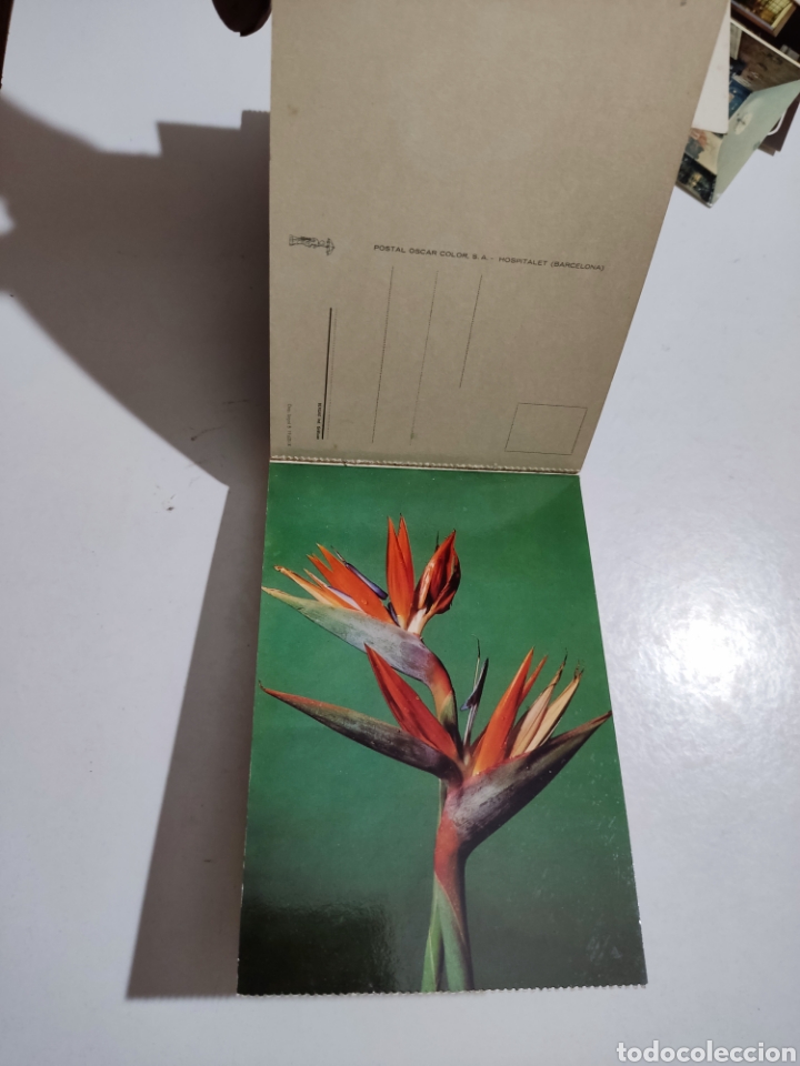 Postales: Postales flores - Foto 8