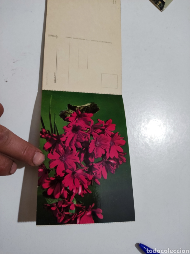 Postales: Postales flores - Foto 9