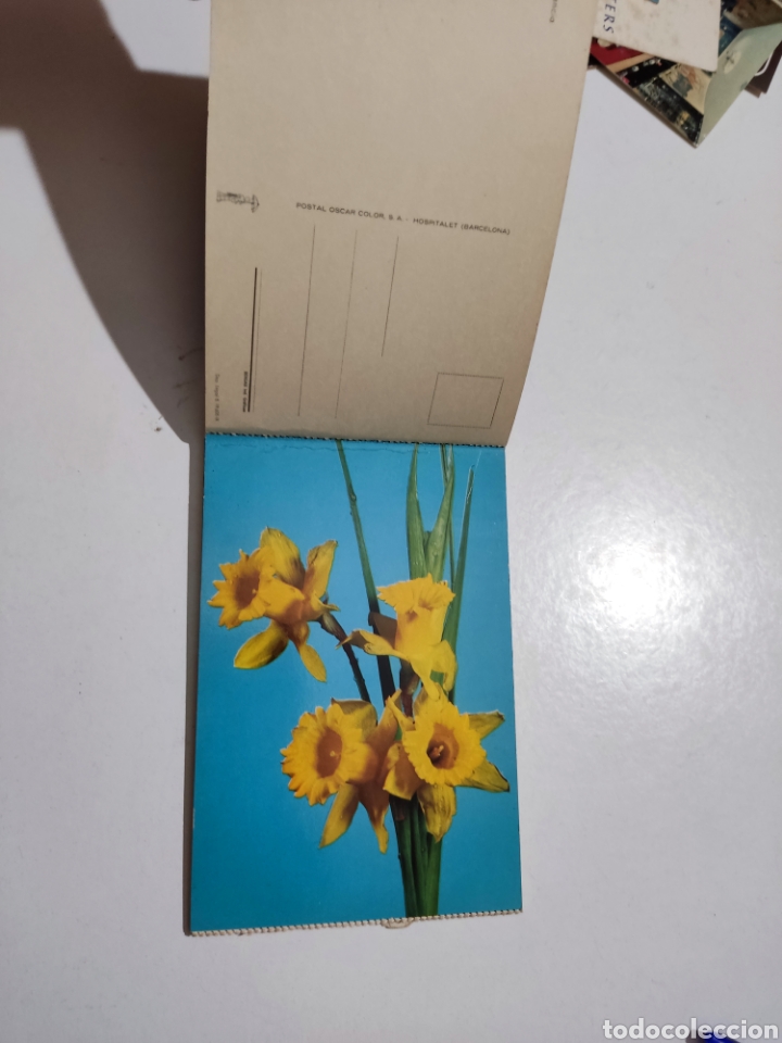 Postales: Postales flores - Foto 11