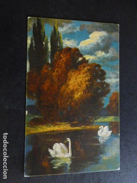 Postales: LAGO CON CISNES POSTAL - Foto 1
