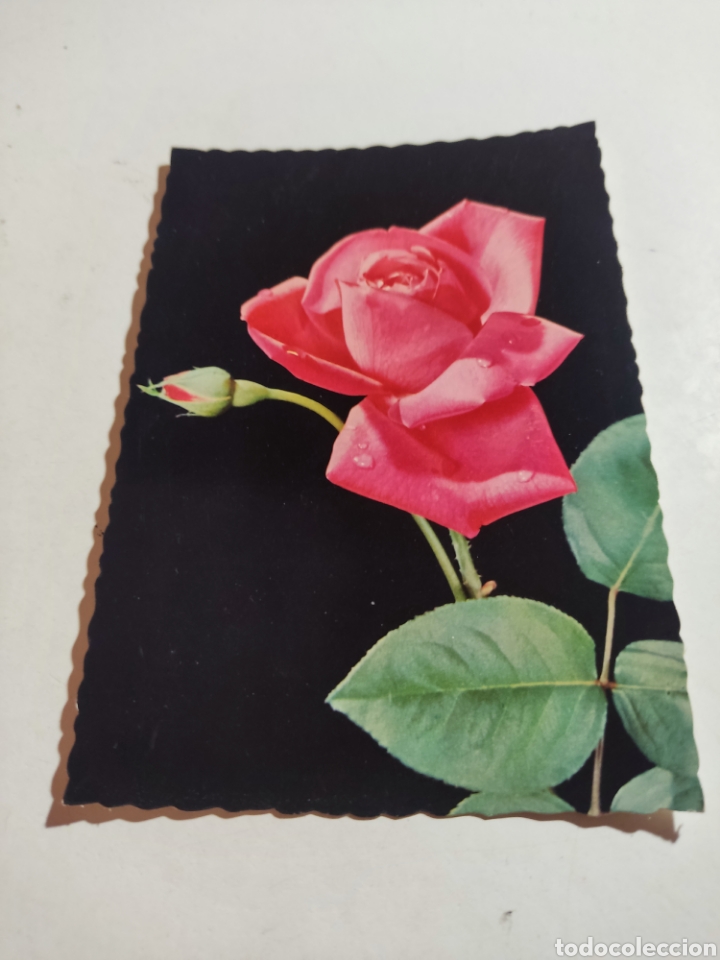 Postales: Postal flor Rosa - Foto 1