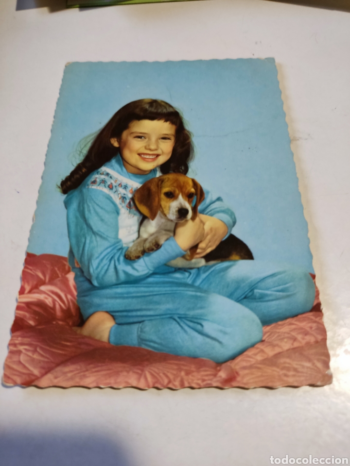 Postales: Postal ni&ntilde;a, perro - Foto 1