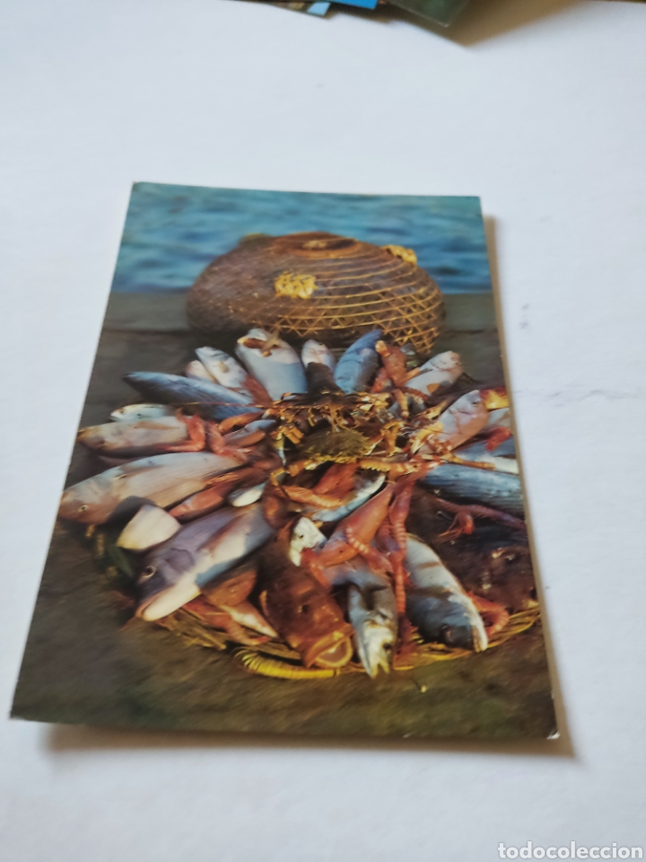 Postales: Postal panera tipica de pescado - Foto 1