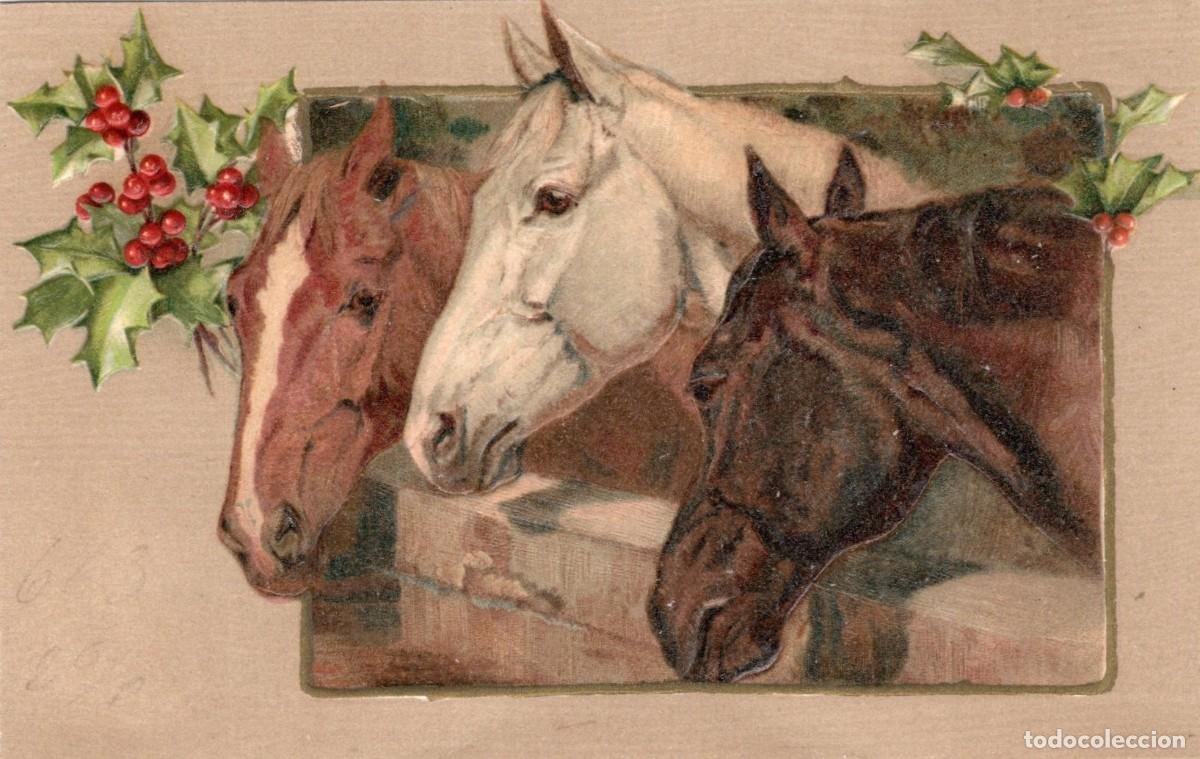 Postales: CABALLOS. POSTAL EN RELIEVE - Foto 1