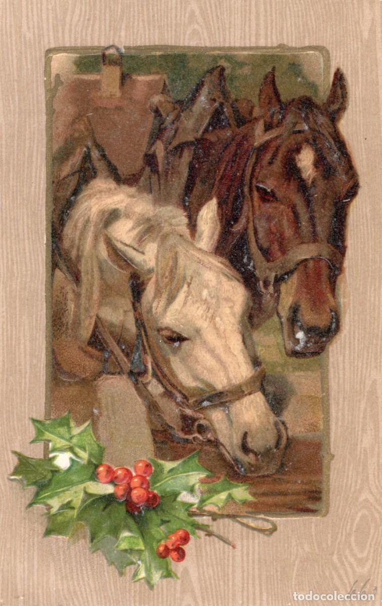 Postales: CABALLOS. POSTAL EN RELIEVE - Foto 1