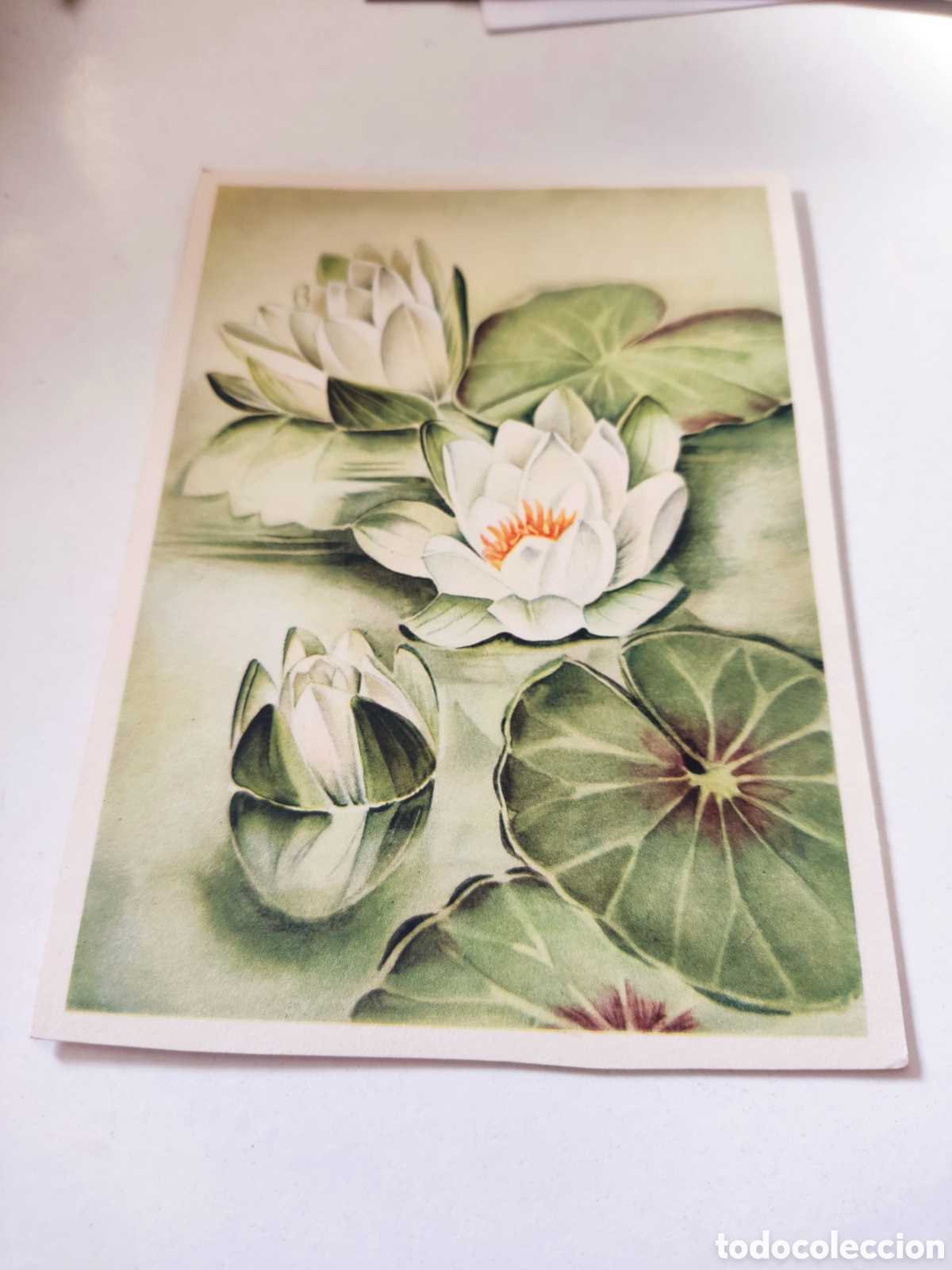 Postales: Postal flores made Germany - Foto 1