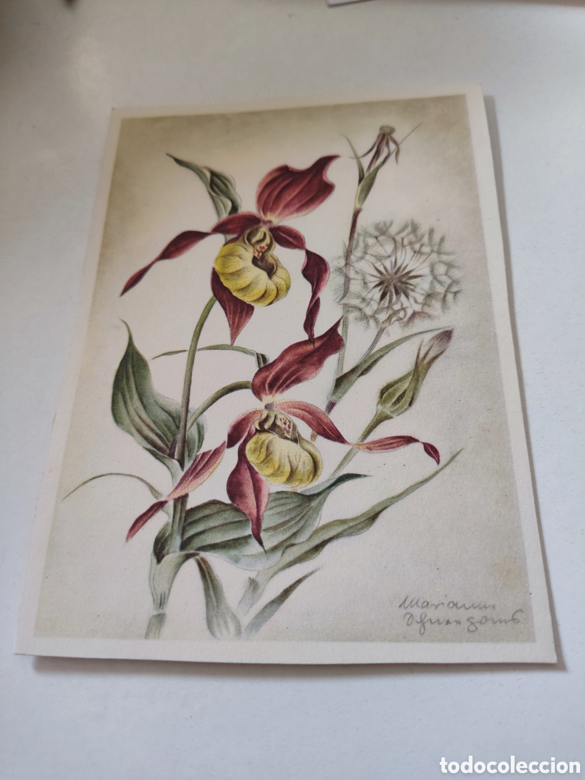 Postales: Postal flores made Germany - Foto 1