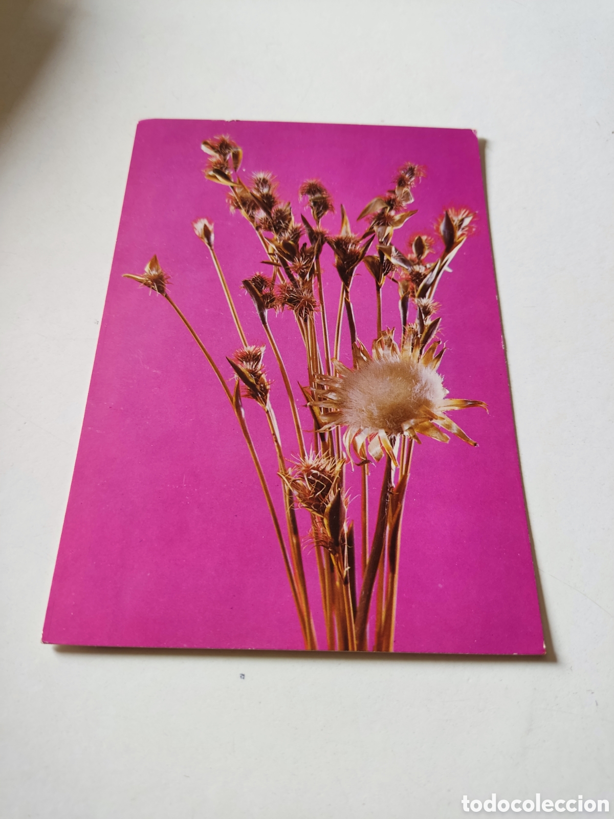 Postales: Postal flores - Foto 1