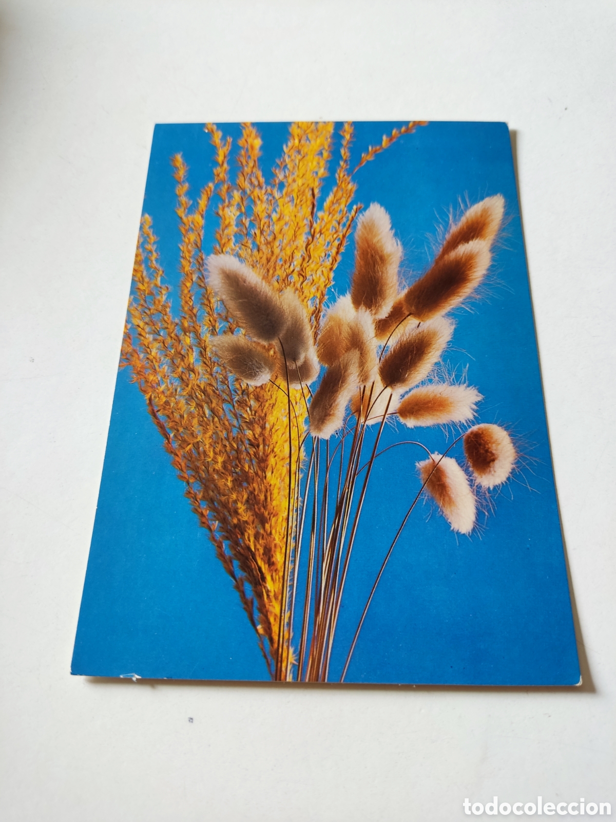 Postales: Postal flores - Foto 1