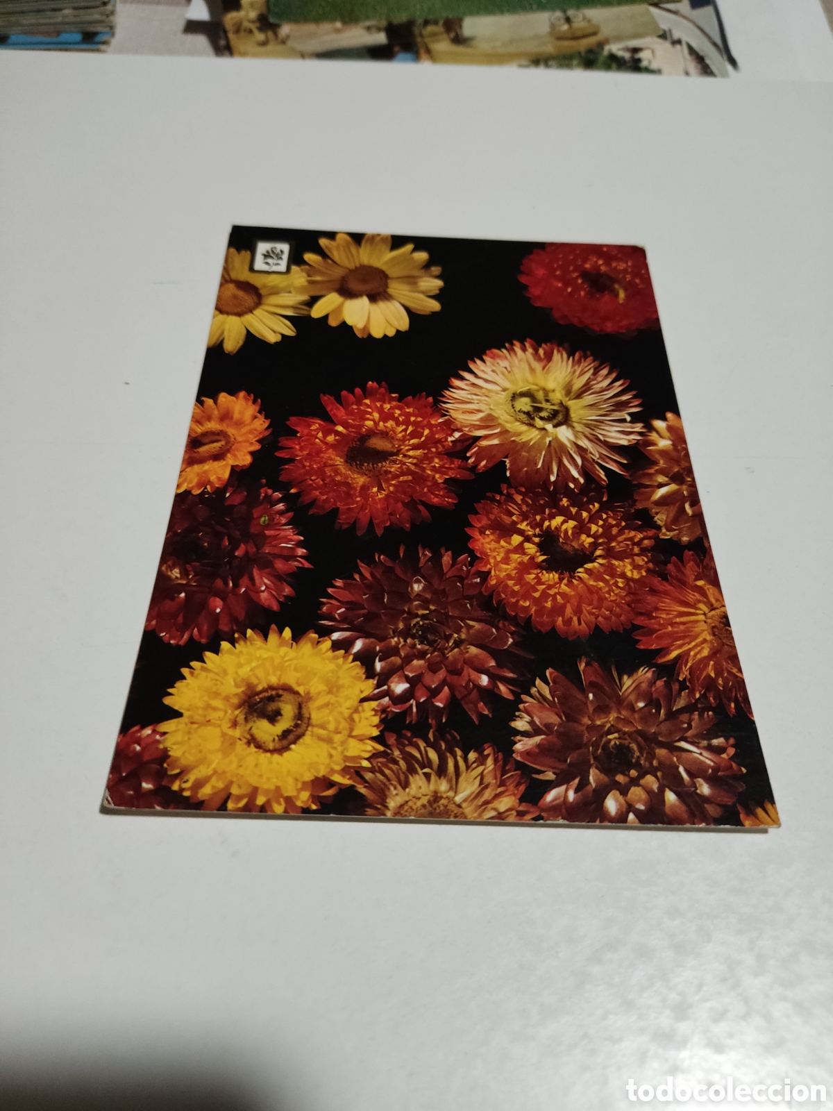 Postales: Postal flores.............. - Foto 1