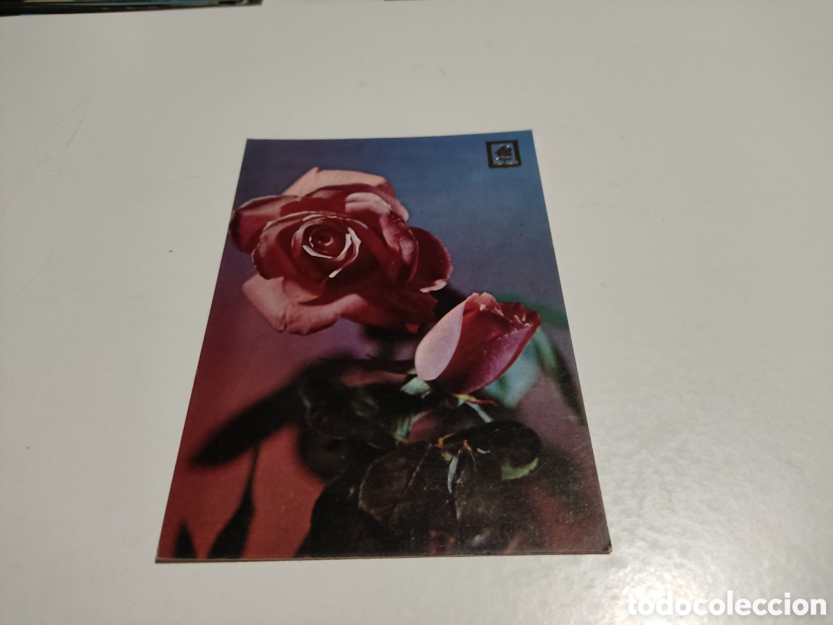 Postales: Postal flores rosas .... - Foto 1