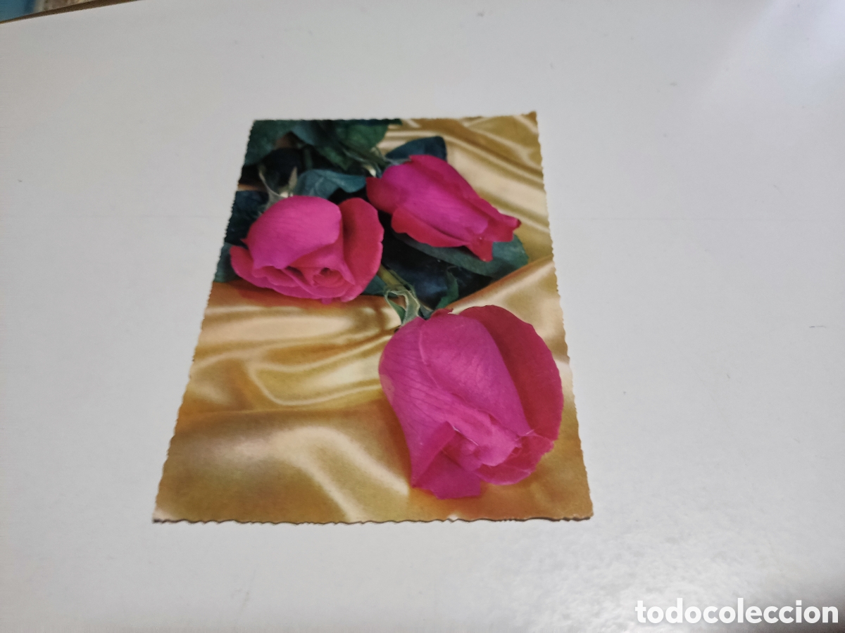 Postales: Postal flores rosas..... - Foto 1