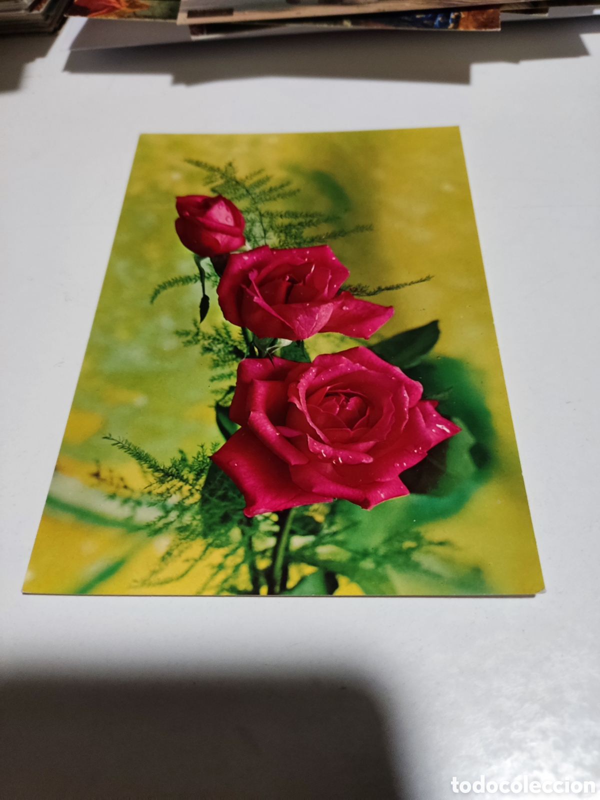Postales: Postal rosas............. - Foto 1