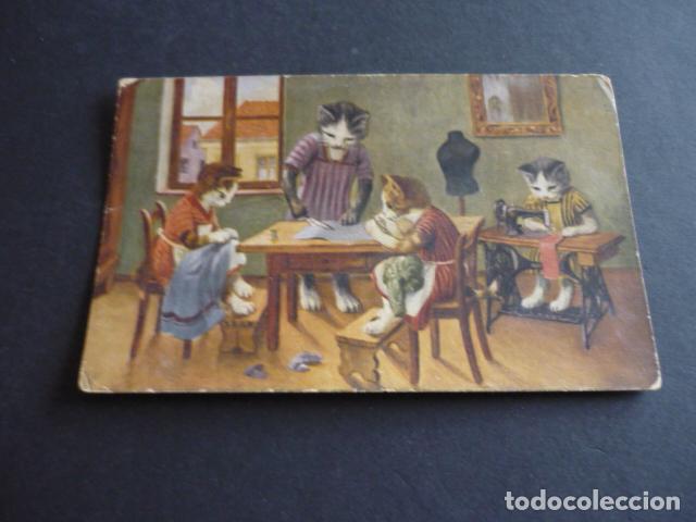 Postales: GATOS BORDANDO Y COSIENDO POSTAL - Foto 1