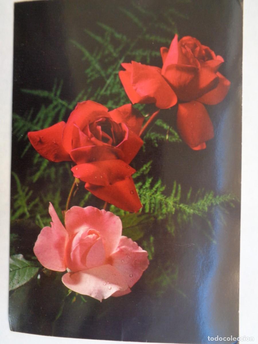 Postales: POSTAL CON RAMO DE FLORES , ROSAS . 1970 - Foto 1