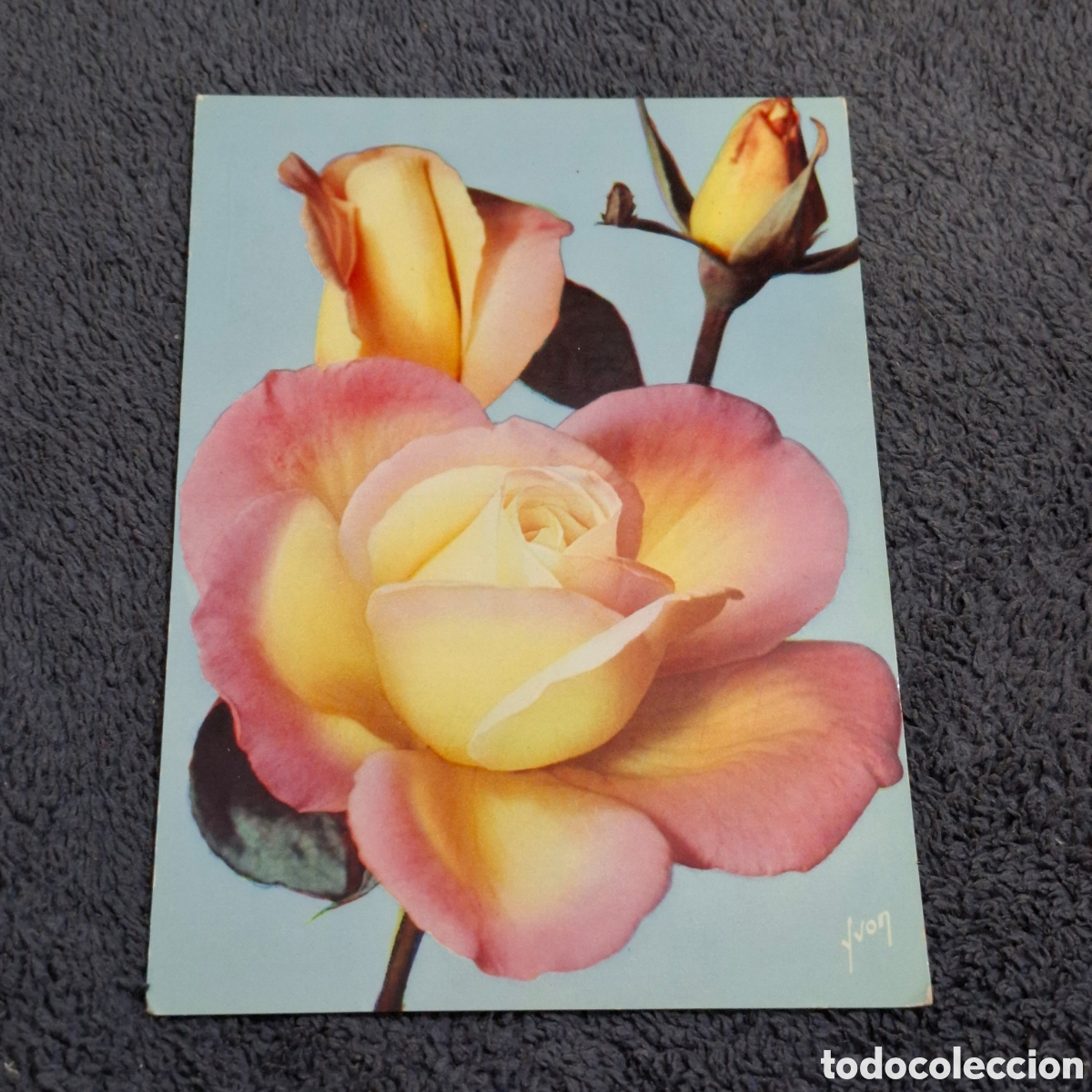 Postales: P8. Flores, Rosas, Escrita Sin Circular. - Foto 1