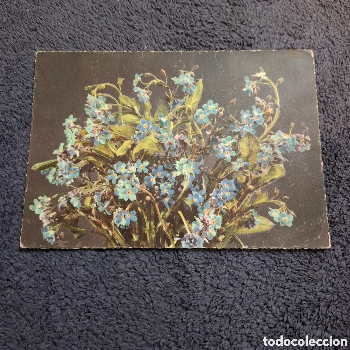Postales: P8. Ramo De Flores, Nomeolvides, Sin Circular. - Foto 1