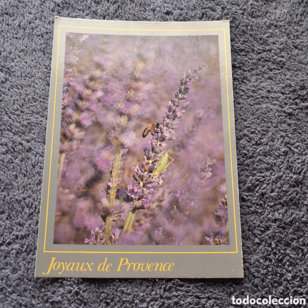 Postales: P8. Flores, De Lavanda, Escrita, Sin Circular. - Foto 1
